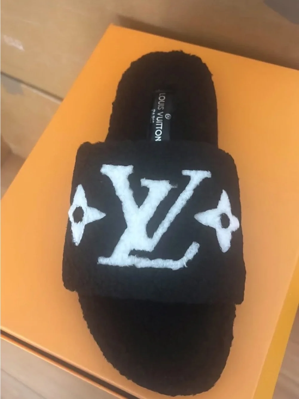 Louis Vuitton nwot louis